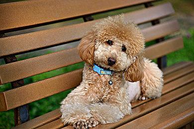 《最终幻想7：重制版》8GB高清材质包 贫民窟也精致